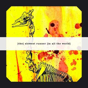 [The] Slowest Runner [in all the world] - Marsupial Patterns