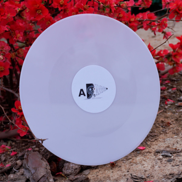 Ðiagram - Submission