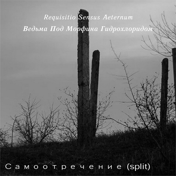 Ведьма Под Морфина Гидрохлоридом - Сухоцвет