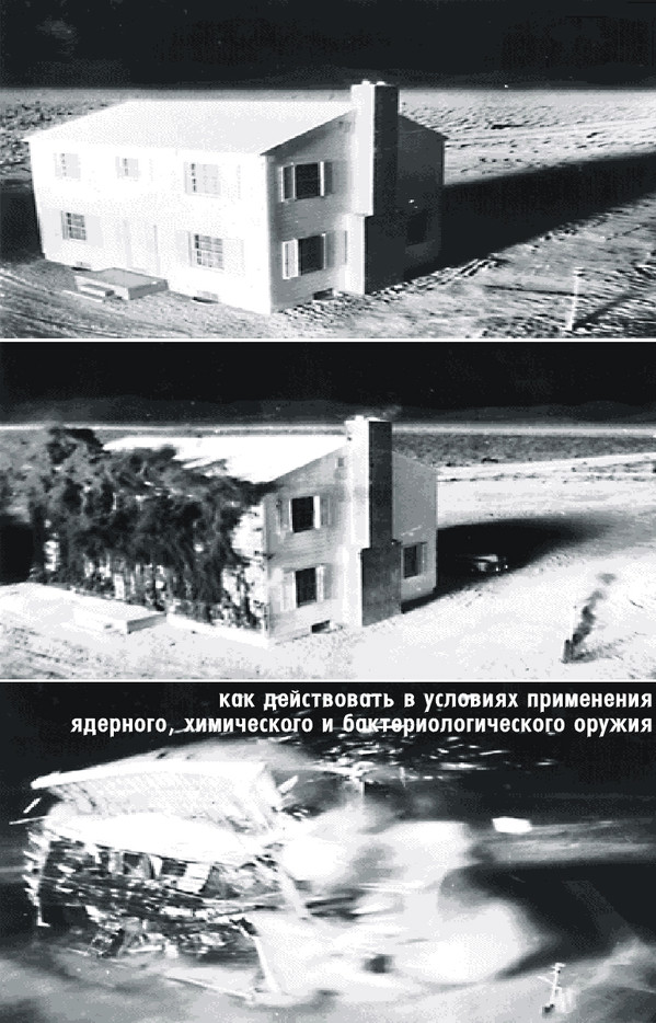 Железный Клык - Уховертка