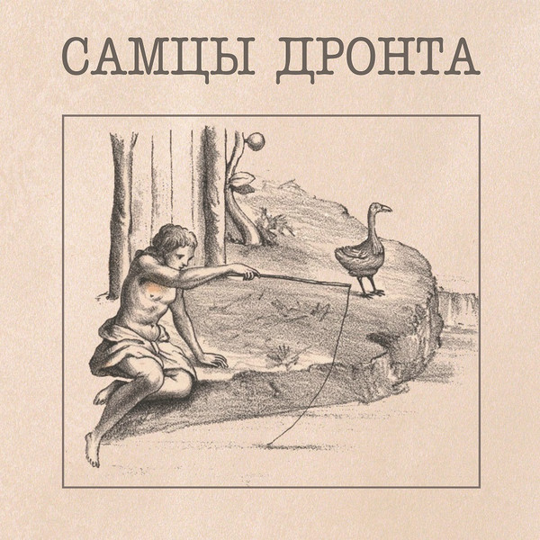 Самцы Дронта - Крокет