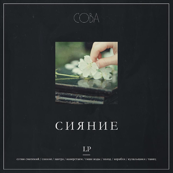 Сова - Первый снег