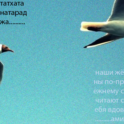 Татхата Натараджа - Plug to me