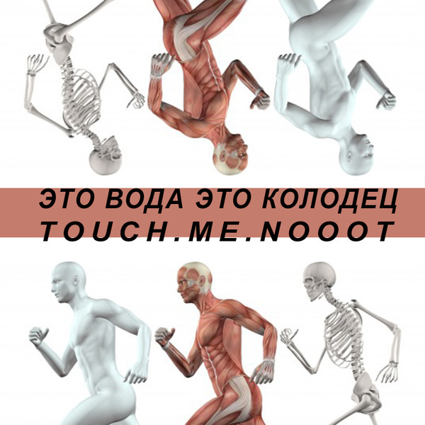 Это - Друзья