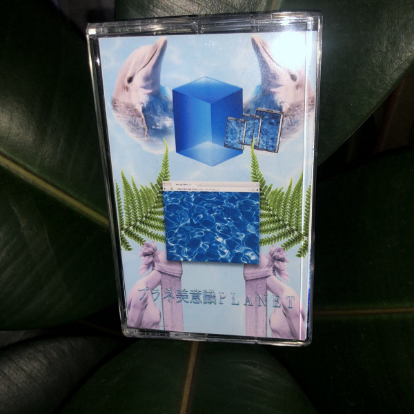 ᴘ v ʟ ᴇ - ᴇ ᴍ ᴇ ʀ ᴀ ᴌ ᴅ s