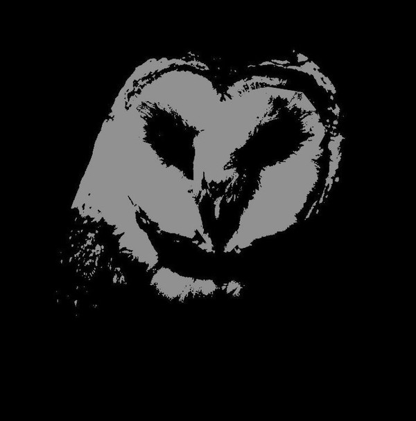 ▲NDRΛS - Knights of the Black Circle