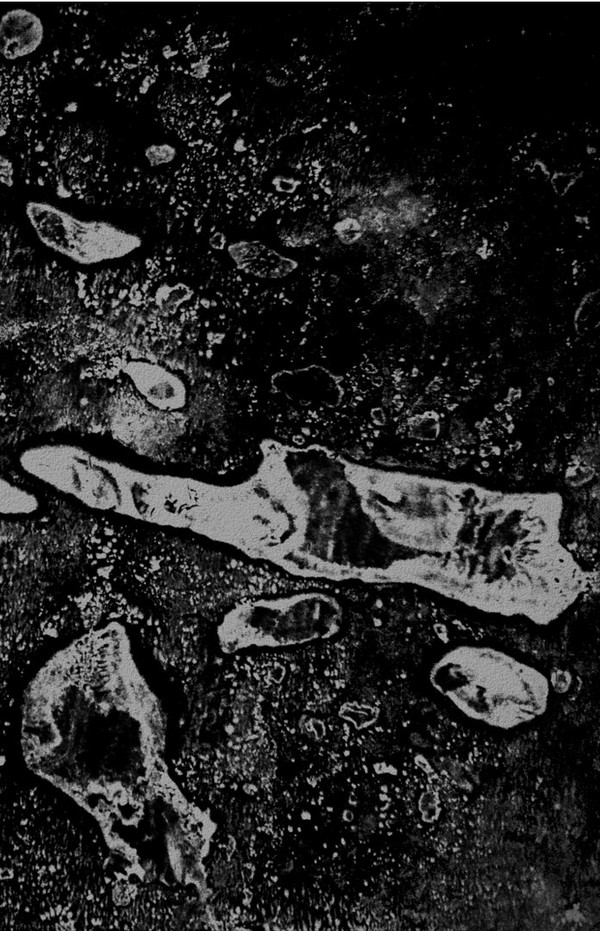 6.16.48./4.8.3. - XIII