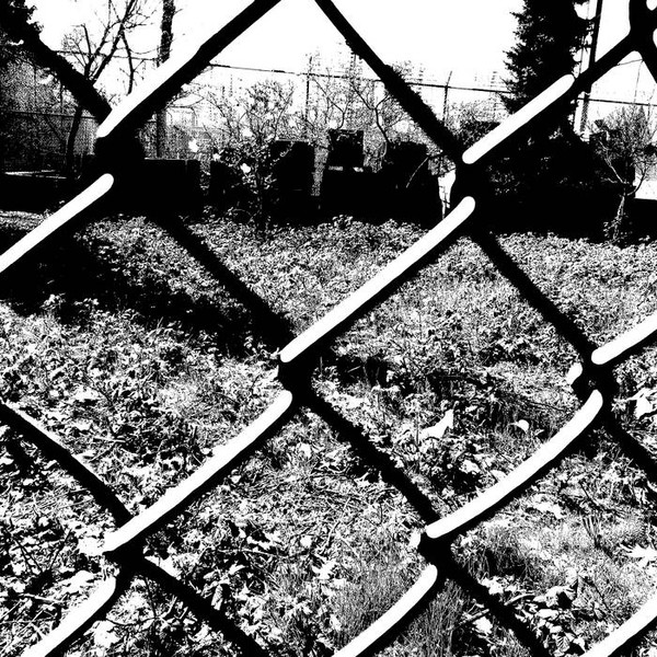 A Body Without Organs - kamarad meinhof