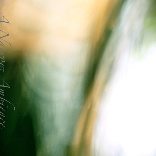 A Narrow Ambience - I