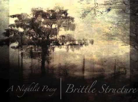 A Nightlit Poesy - For Now...