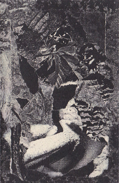 A Snake in the Garden - Oblique Understanding