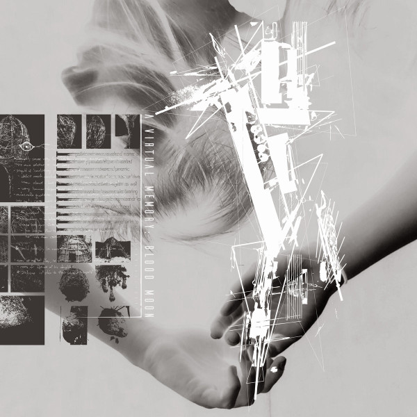 A Virtual Memory - Data Corruptor [Parasitic]
