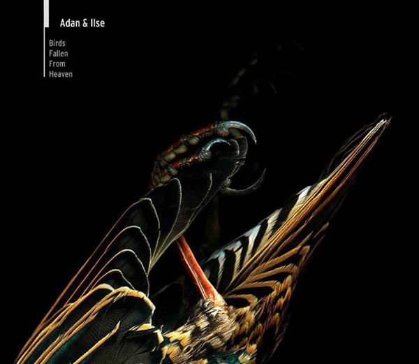 ADAN & ILSE - Failures