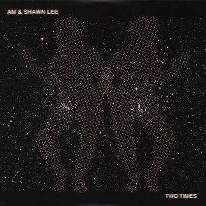 AM & Shawn Lee - Somebody Like You