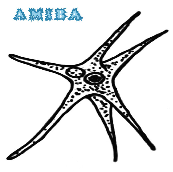 AMIBA - ORE WA TENSAI DA---!!