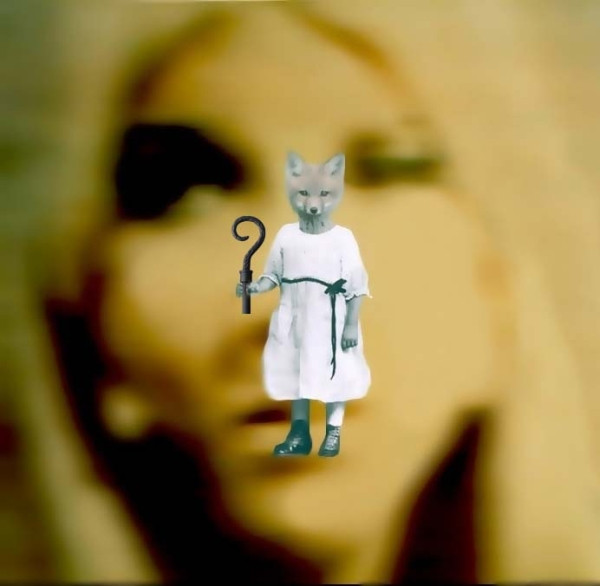APF - NO CONNECTION