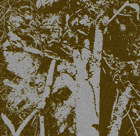 Abrasive Contamination - Dirty Stations