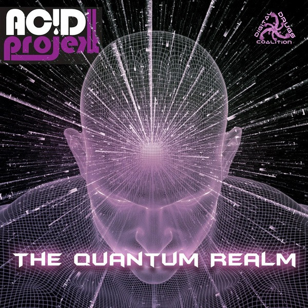 AcidProjekt - Puzzle of Existence