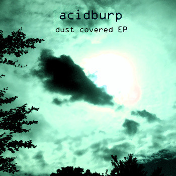 Acidburp - I Lost My Palindrome