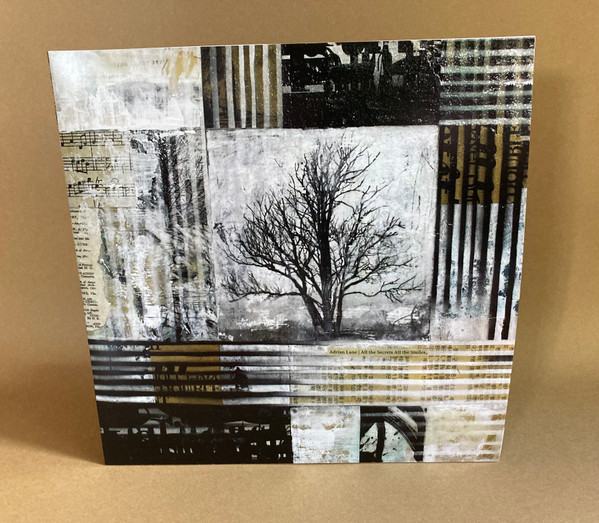 Adrian Lane - Another Spell Than Beauty's