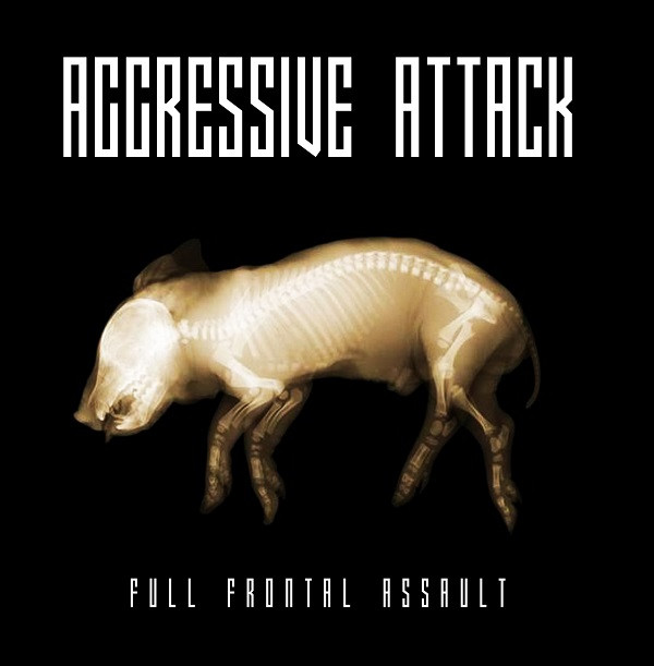 Aggressive Attack - Fight or Flight