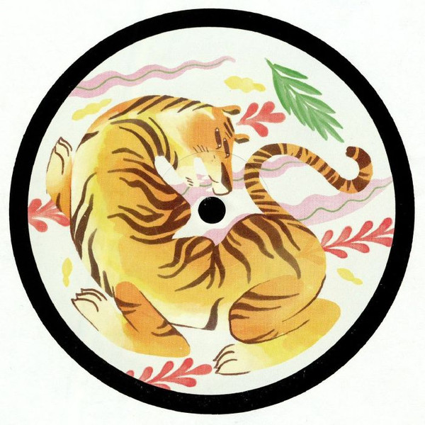 Air Zaïre - Sanibel