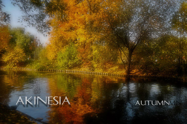 Akinesia - autumn
