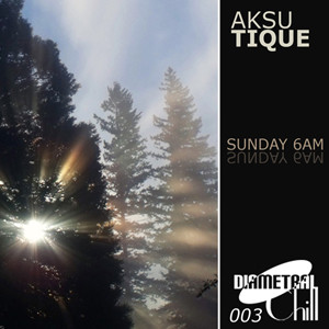 Aksutique - In The Outback