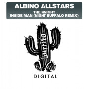 Albino Allstars - The Knight