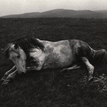 Alex Donley - Bewitched