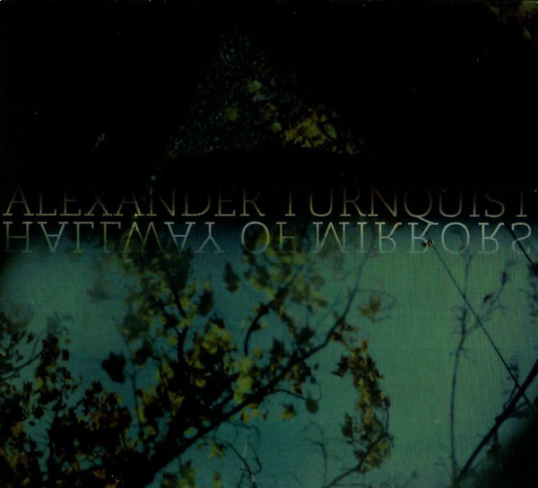 Alexander Turnquist - Amongst A Swarm Of Hummingbirds