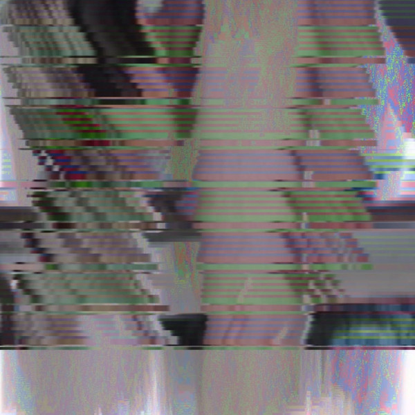 Allpa Puruma - Cocholate