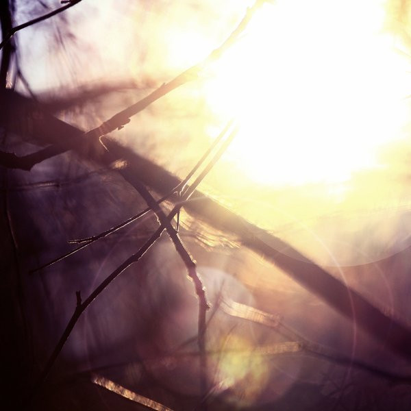 Am.Light - Memoriam