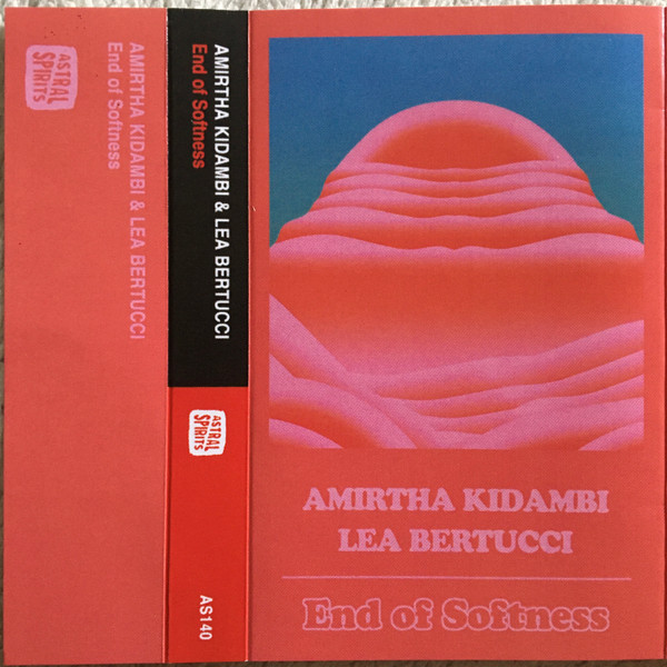 Amirtha Kidambi & Lea Bertucci - Under the Influence