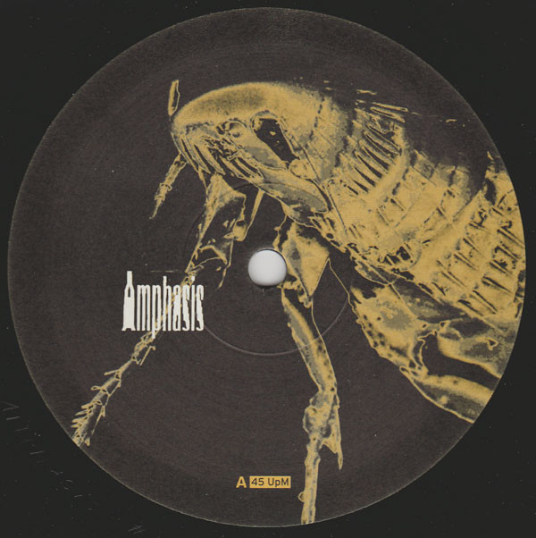 Amphasis - Spark