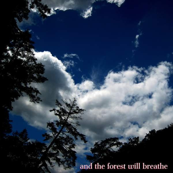 And The Forest Will Breathe - Daylight Will Shine