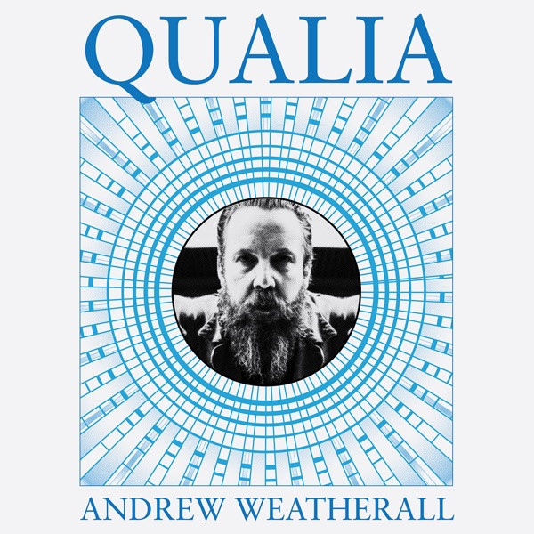 Andrew Weatherall - You Can't Do Disco Without a Strat