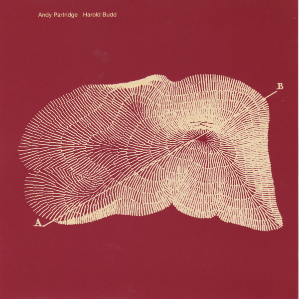 Andy Partridge / Harold Budd - Through the hill