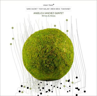 Angelica Sanchez Quintet - Loomed