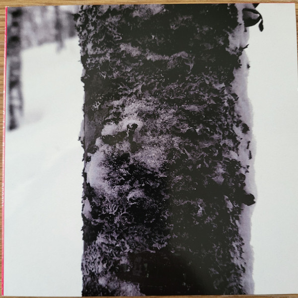 Angus Carlyle - Powerlines