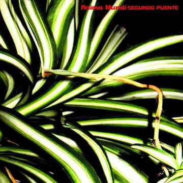 Anima Mundi - Time to Understand