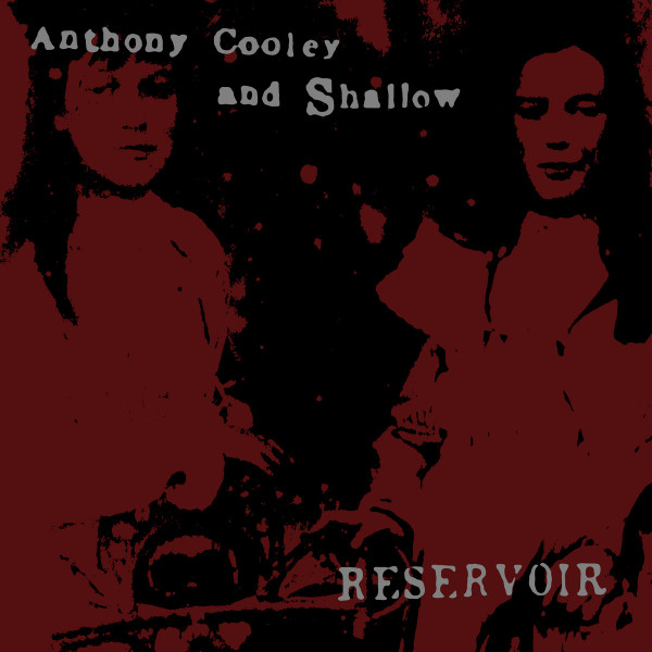 Anthony Cooley - behind the branches (excerpt)