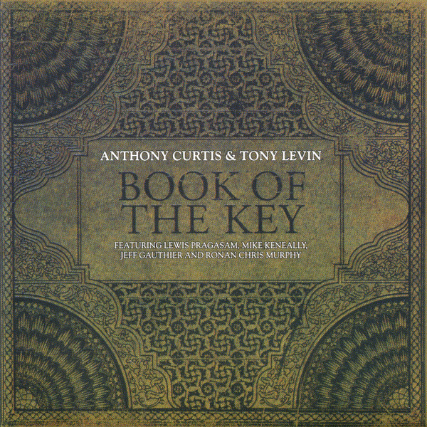 Anthony Curtis&Tony Levin - ruins