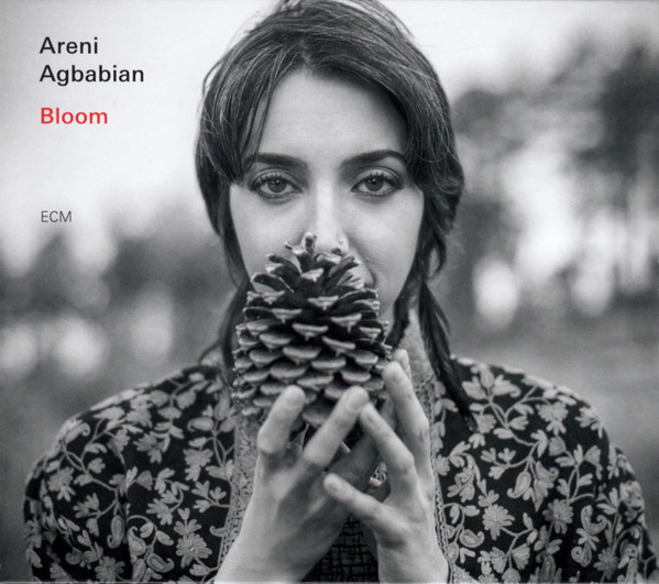 Areni Agbabian - Rain Drops
