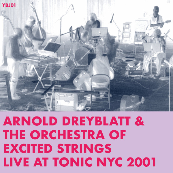 Arnold Dreyblatt & The Orchestra of Excited Strings - High Life