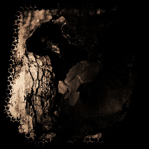 Ars Sonor - Invisible Sun I