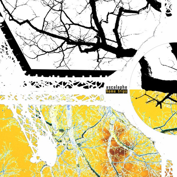 Ascalaphe - Millions of Images (aeons mmx)