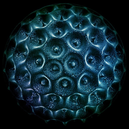 Ascion - vacuum