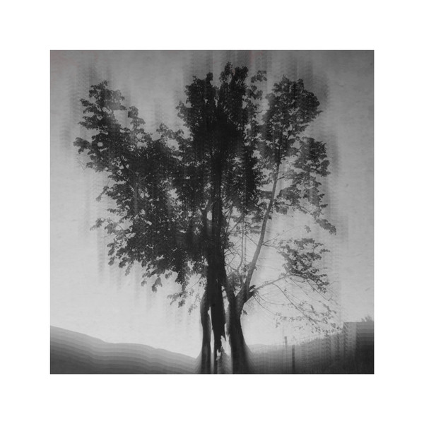 Ashes Of Nothing - Zeta 1 Reticuli