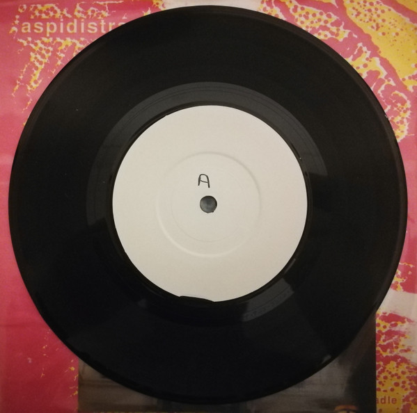 Aspidistra - Happy Sunday Stories